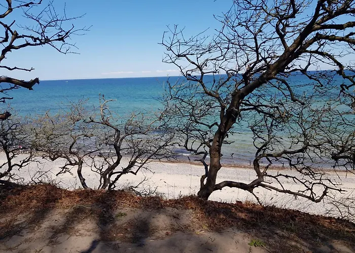 Strandnahe Lägenhet Graal-Mueritz